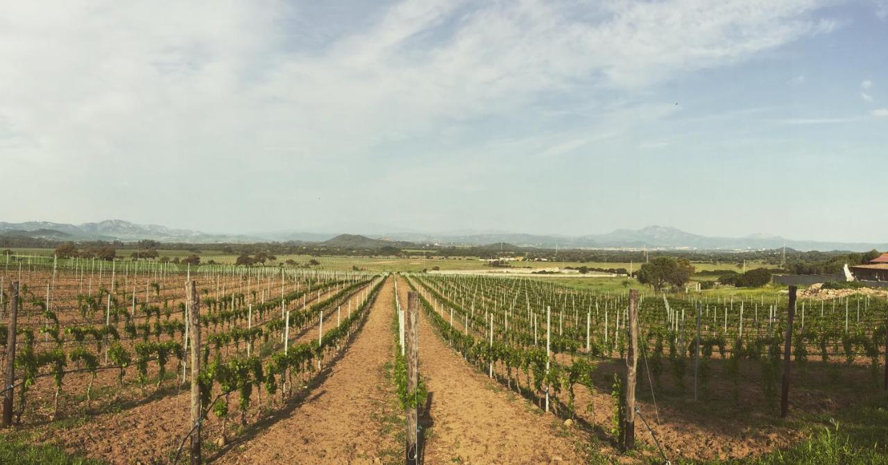 Villa Agostina 무르타마리아 외부 사진